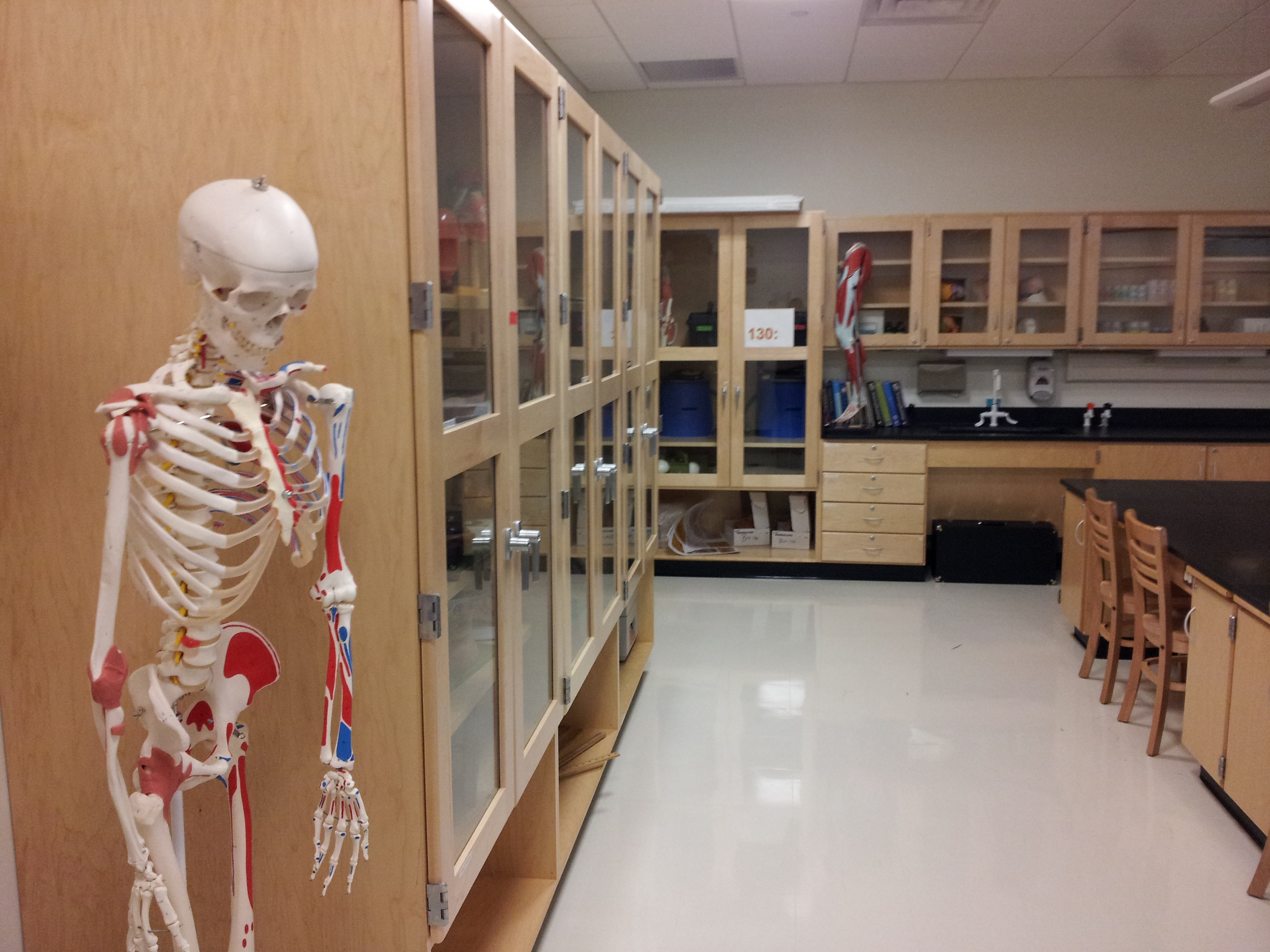 Anatomy Lab.jpg