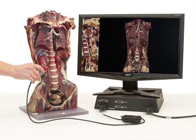 Anatomage Nav.jpg